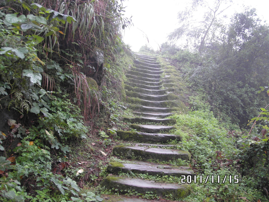 重庆寻根之旅(d2---寻根青木关)