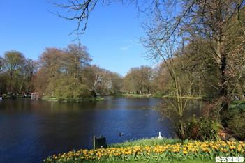 荷兰郁金香 - 游记攻略【携程攻略】