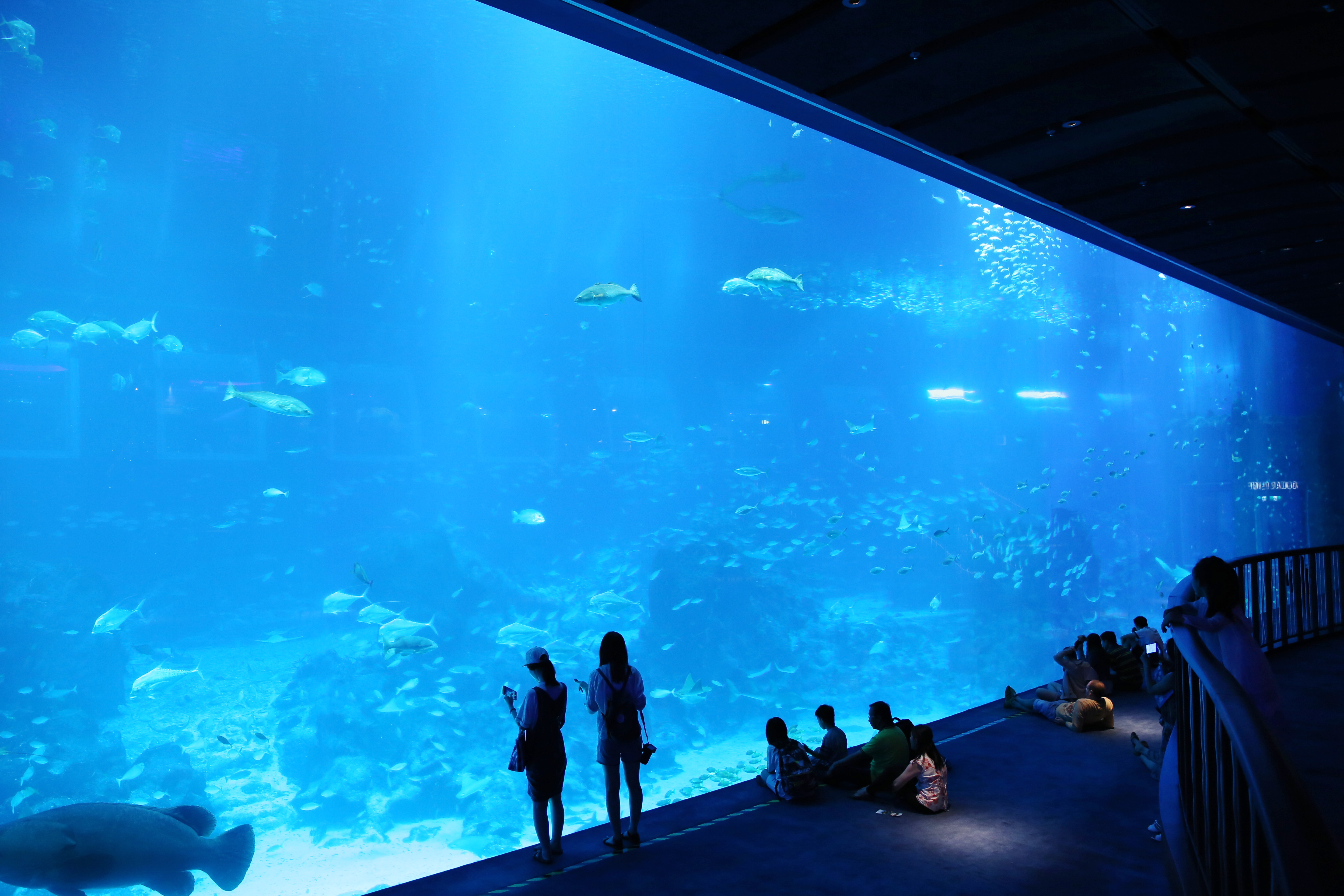 超级震撼的大玻璃窗