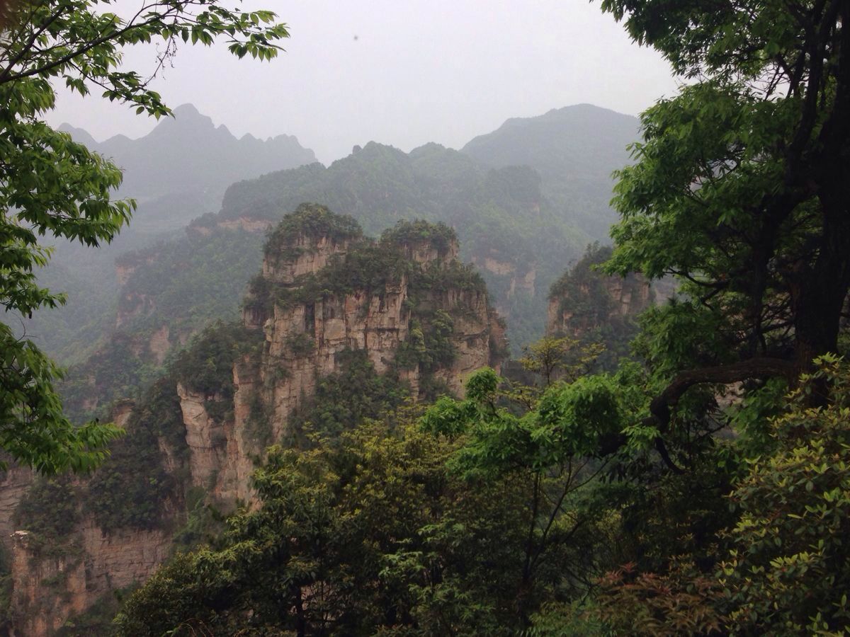 天门山国家森林公园,张家界天门山国家森林公