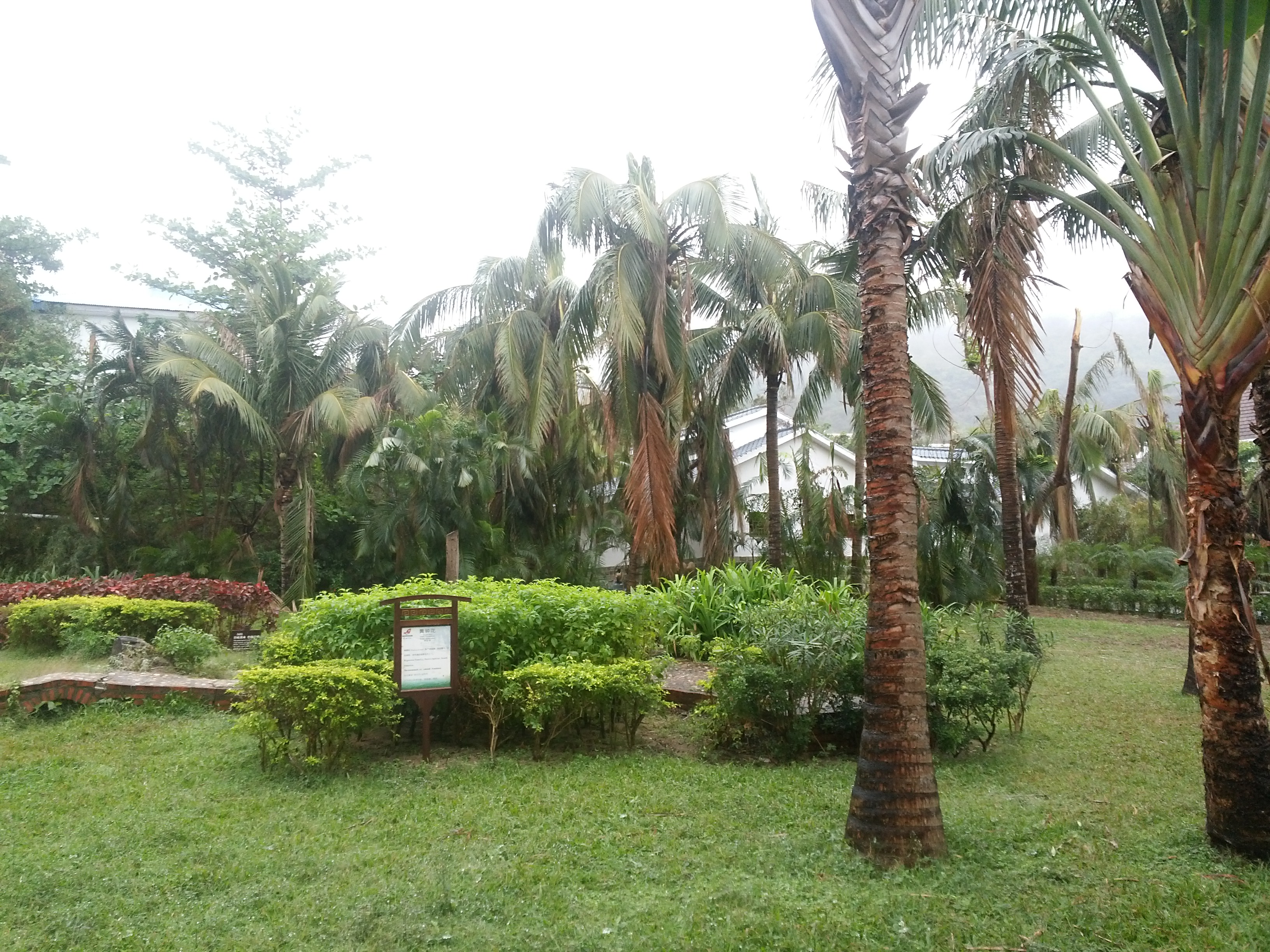 夫妻<em>行房</em>图片演示图 /非洲<em>象人族女人行房</em> 图片