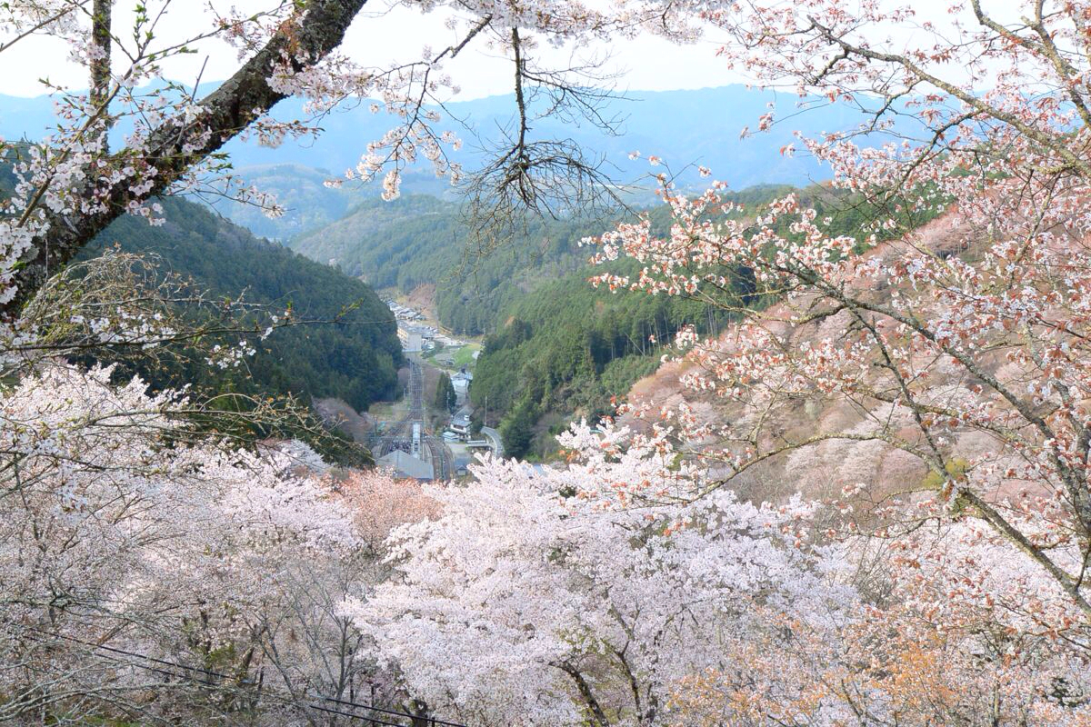 日本奈良吉野山