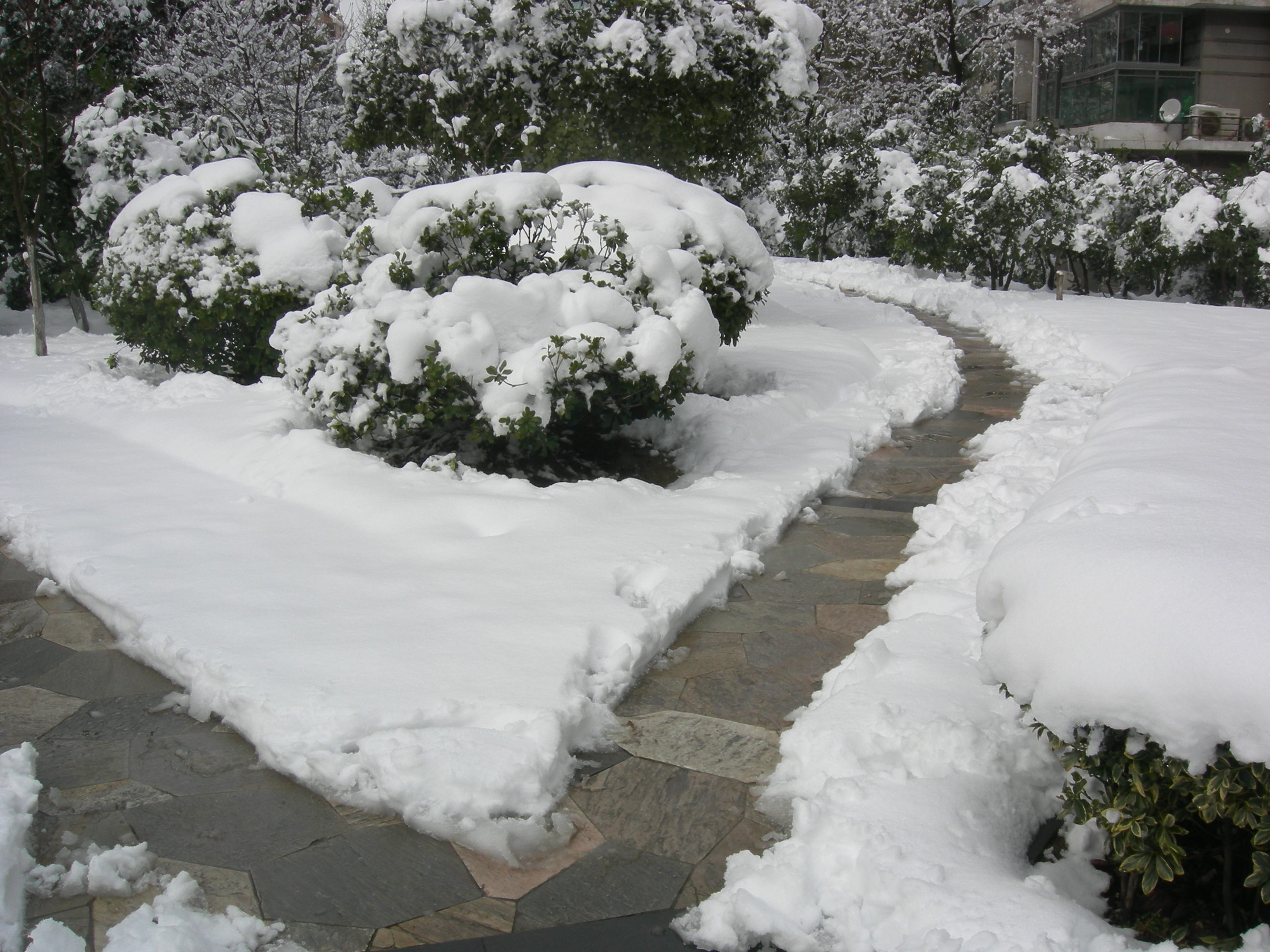 南京冬天的一场雪