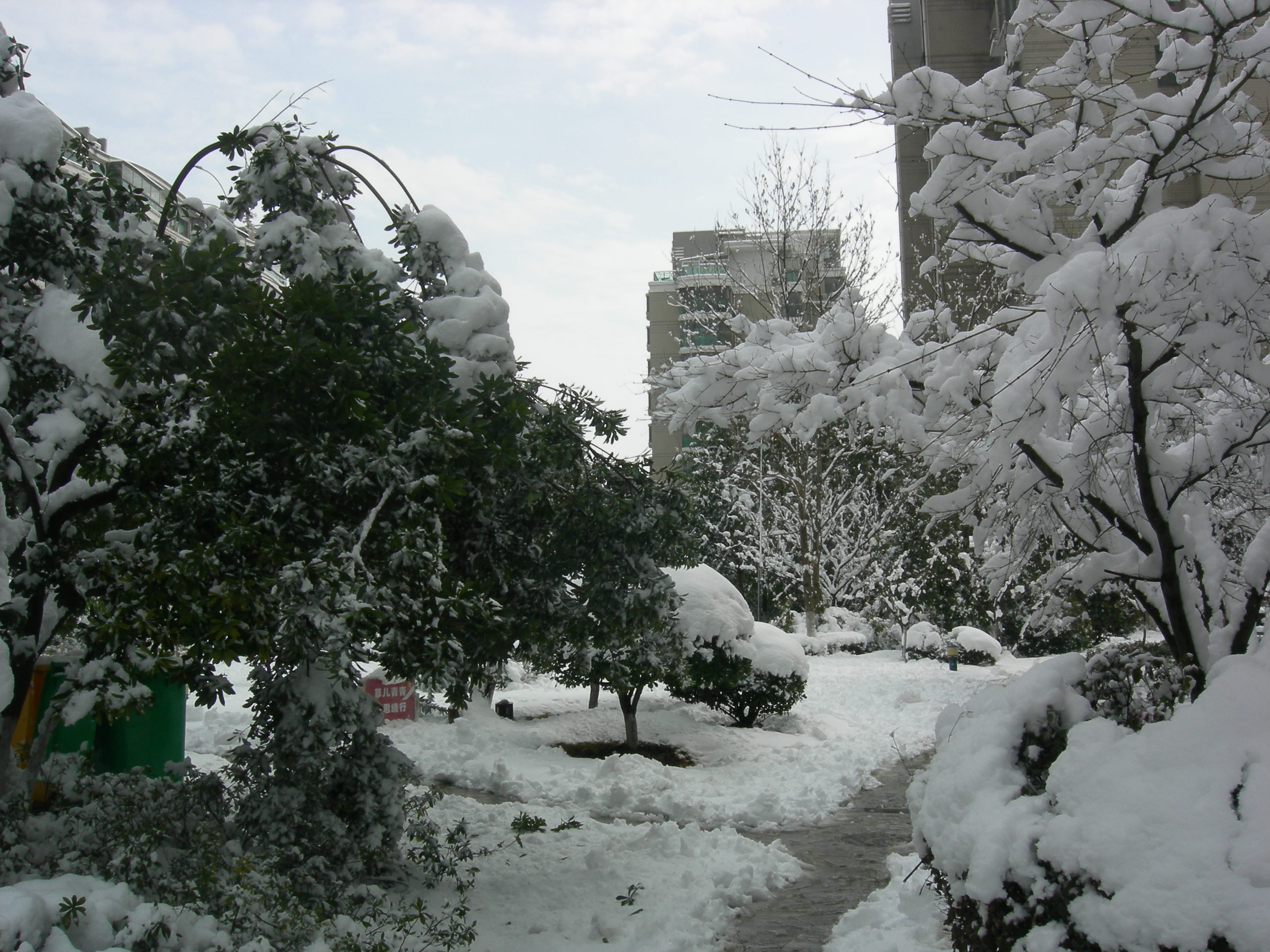 南京冬天的一场雪