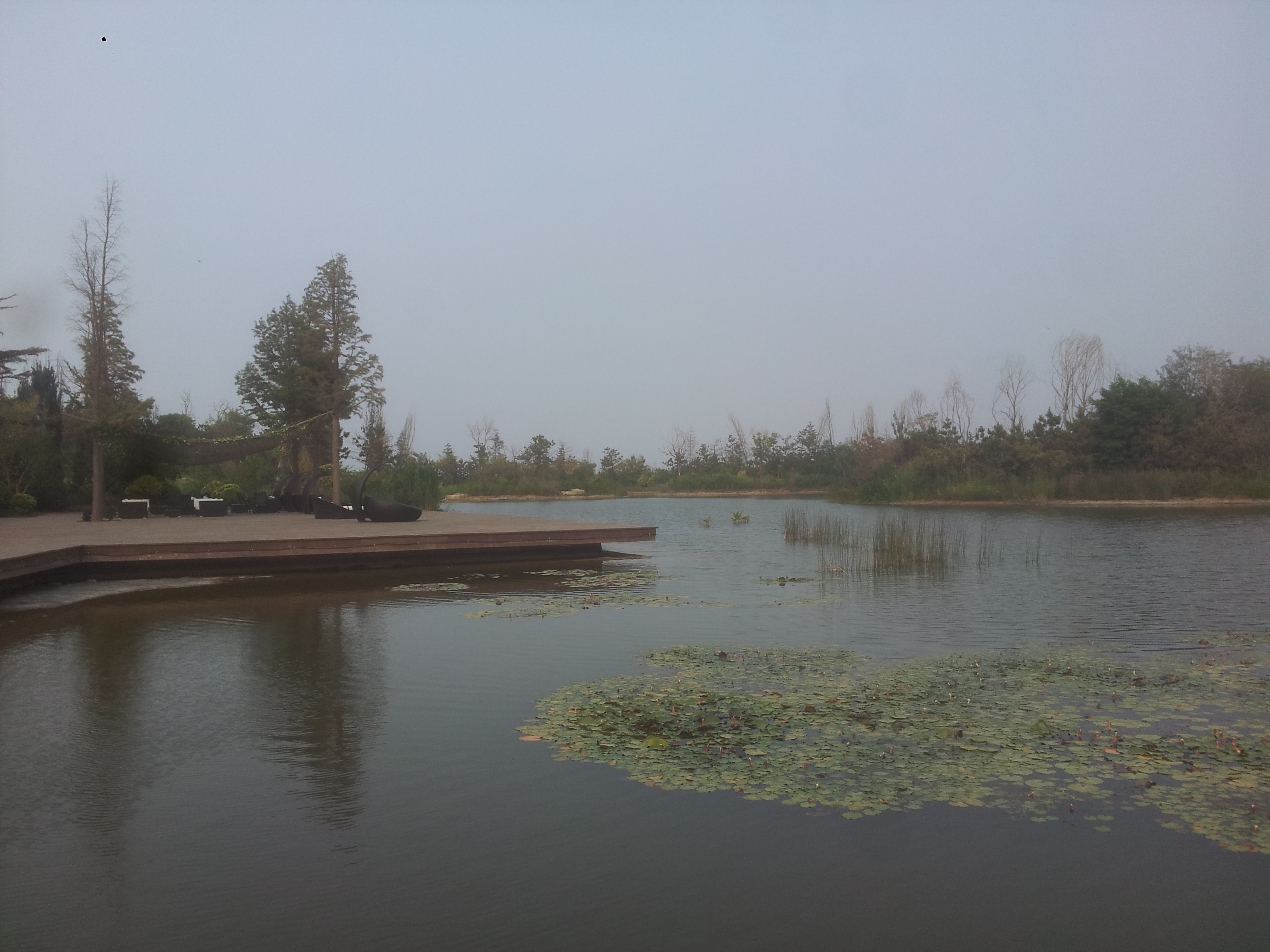 烟台牟平养马岛龙湖地产体验区