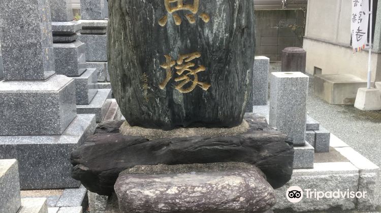 福冈龙宫寺游玩攻略-龙宫寺门票多少钱/价格表-团购票价预定优惠-景点