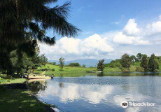 virunga national park 游山玩水 直线距离>100km