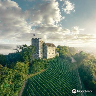 habsburg castle 城堡 历史遗迹 距景点1.2km