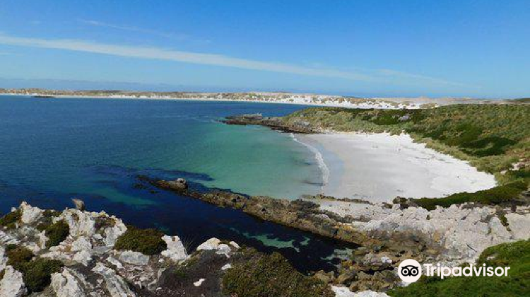 of stanley, stanley, east falkland fiqq1zz, falkland islands