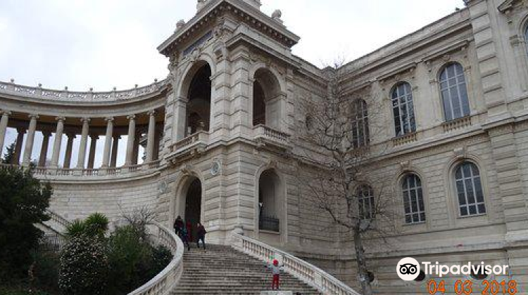 马赛museum d'histoire naturelle攻略-museum d'histoire naturelle