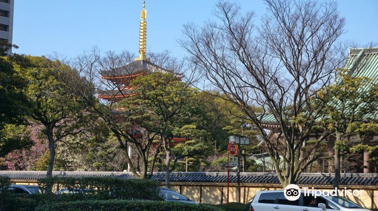 福冈龙宫寺游玩攻略-龙宫寺门票多少钱/价格表-团购票价预定优惠-景点