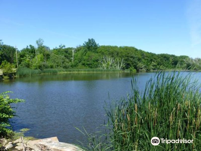 nature center at shaker lakes