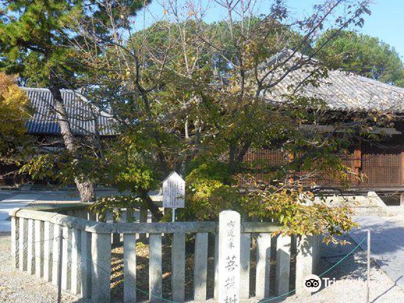 加古川市鹤林寺攻略-鹤林寺门票价格多少钱-团购票价预定优惠-景点