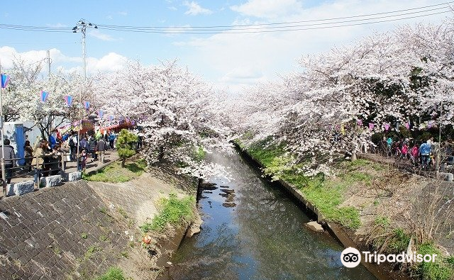 sports park funabashi city sports park 暂无评分 景点地址 千叶县