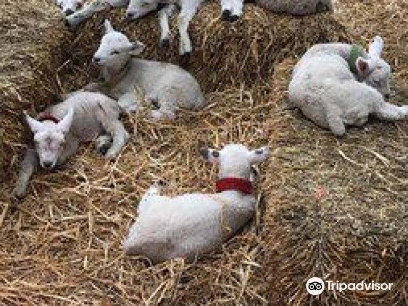 newham grange farm