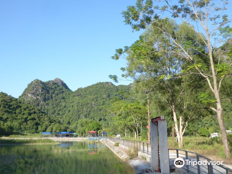 下龙湾越海村攻略-越海村门票价格多少钱-团购票价--.