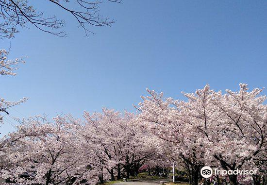 春日井市art manami攻略-art manami门票价格多少钱-团购票价预定优惠