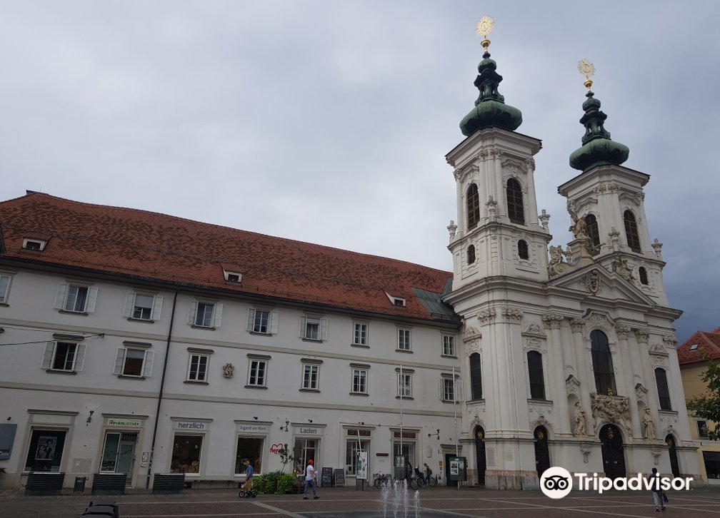 church of our lady of succor (mariahilferkirche) 4.