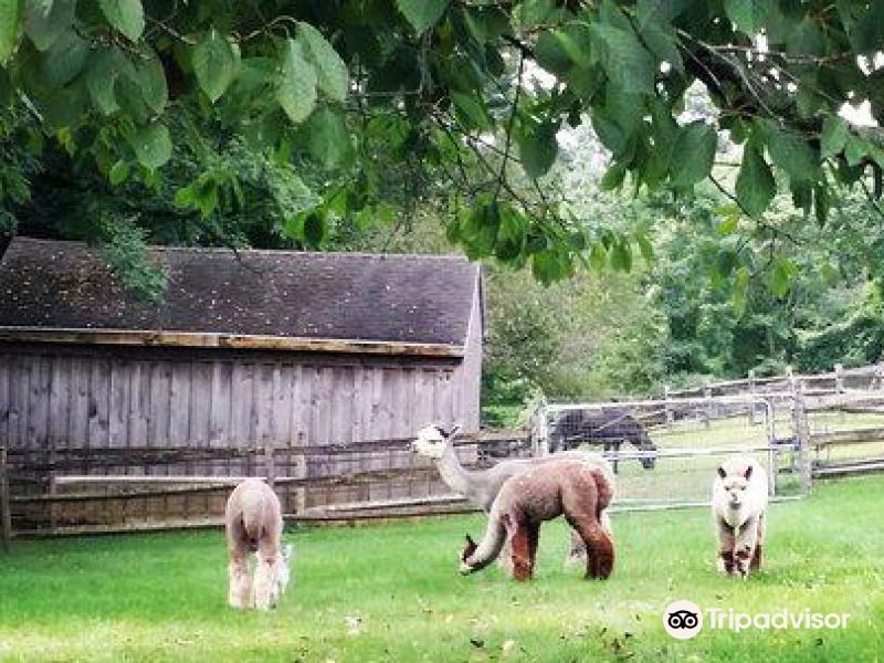 # Discover the Magic of Green Meadows Petting Farm: A Family-Friendly Adventure Awaits!