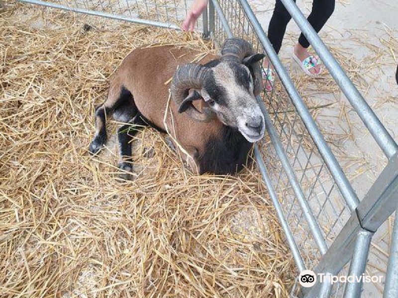 newham grange farm