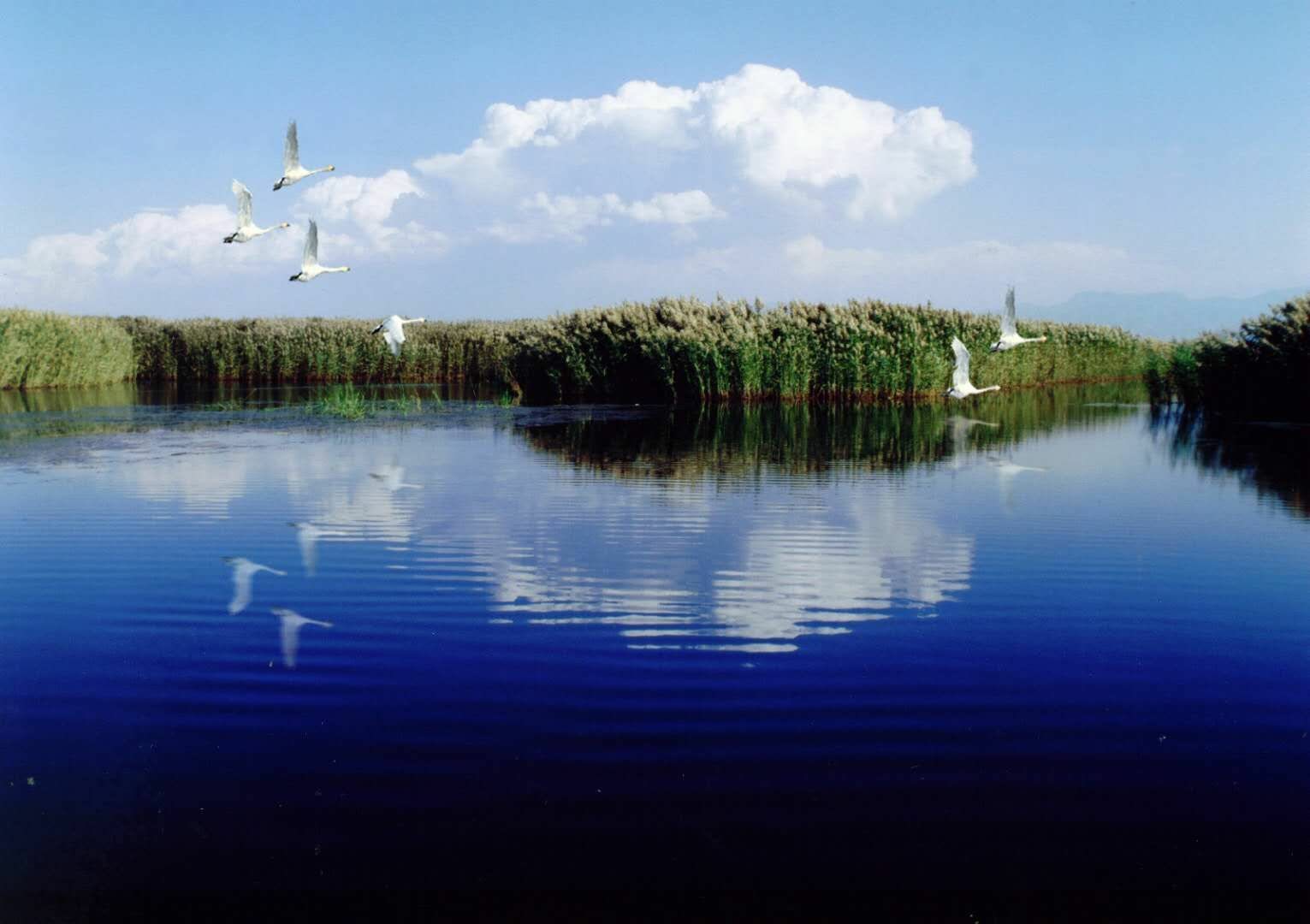 纳林湖最美的风景图片图片