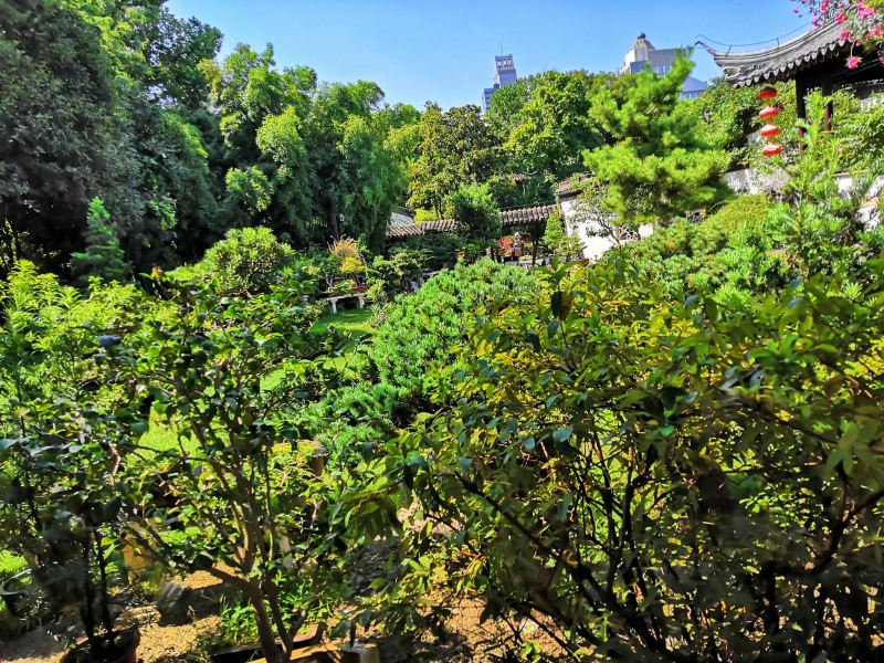 宜賓江南公園攻略-江南公園門票價格多少錢-團購票價預定優惠-景點