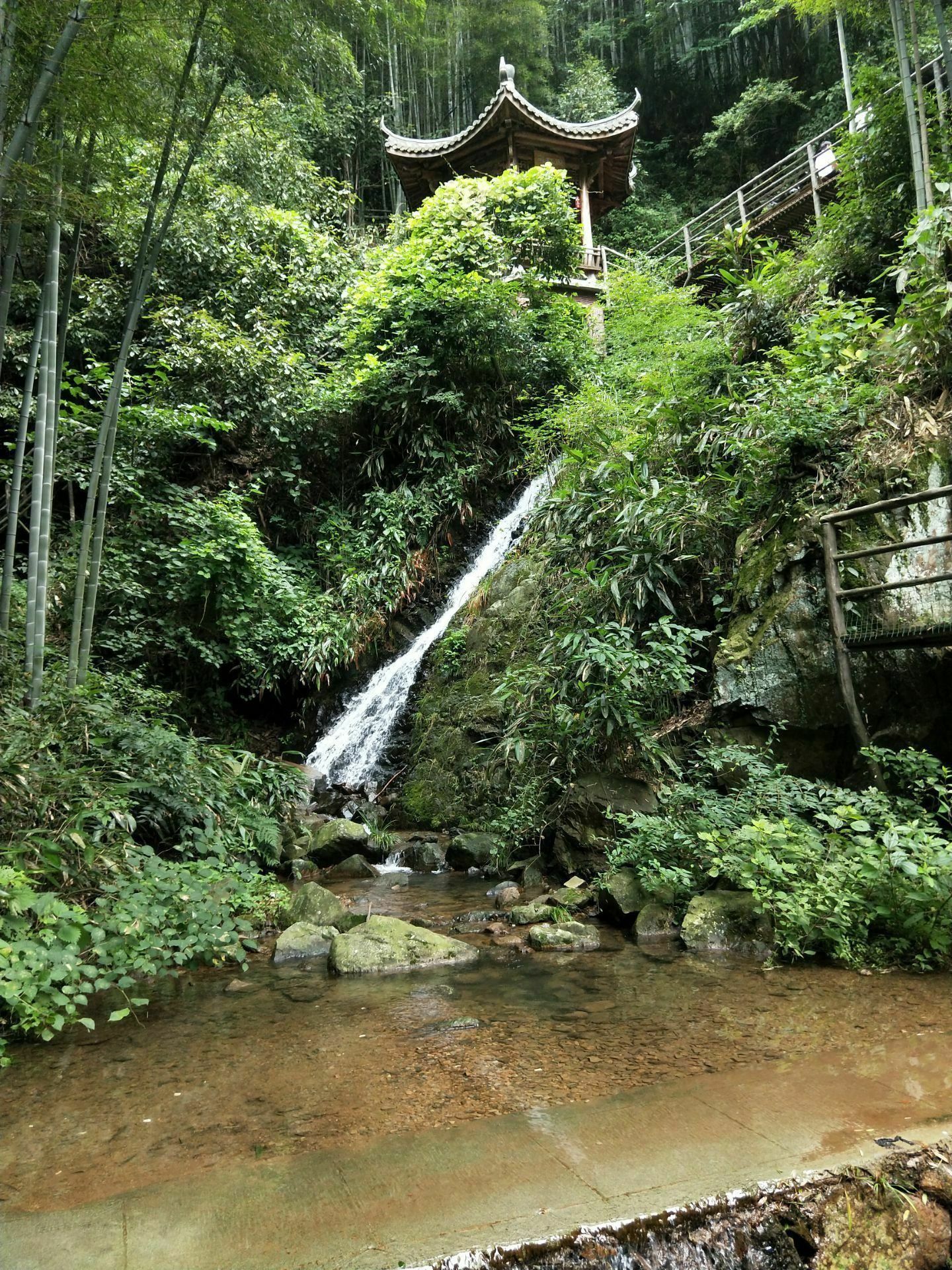 鸬鸟山沟沟图片