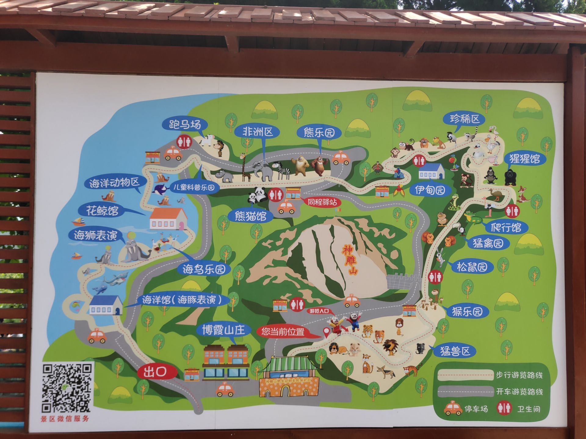 临沂动物园路线图图片