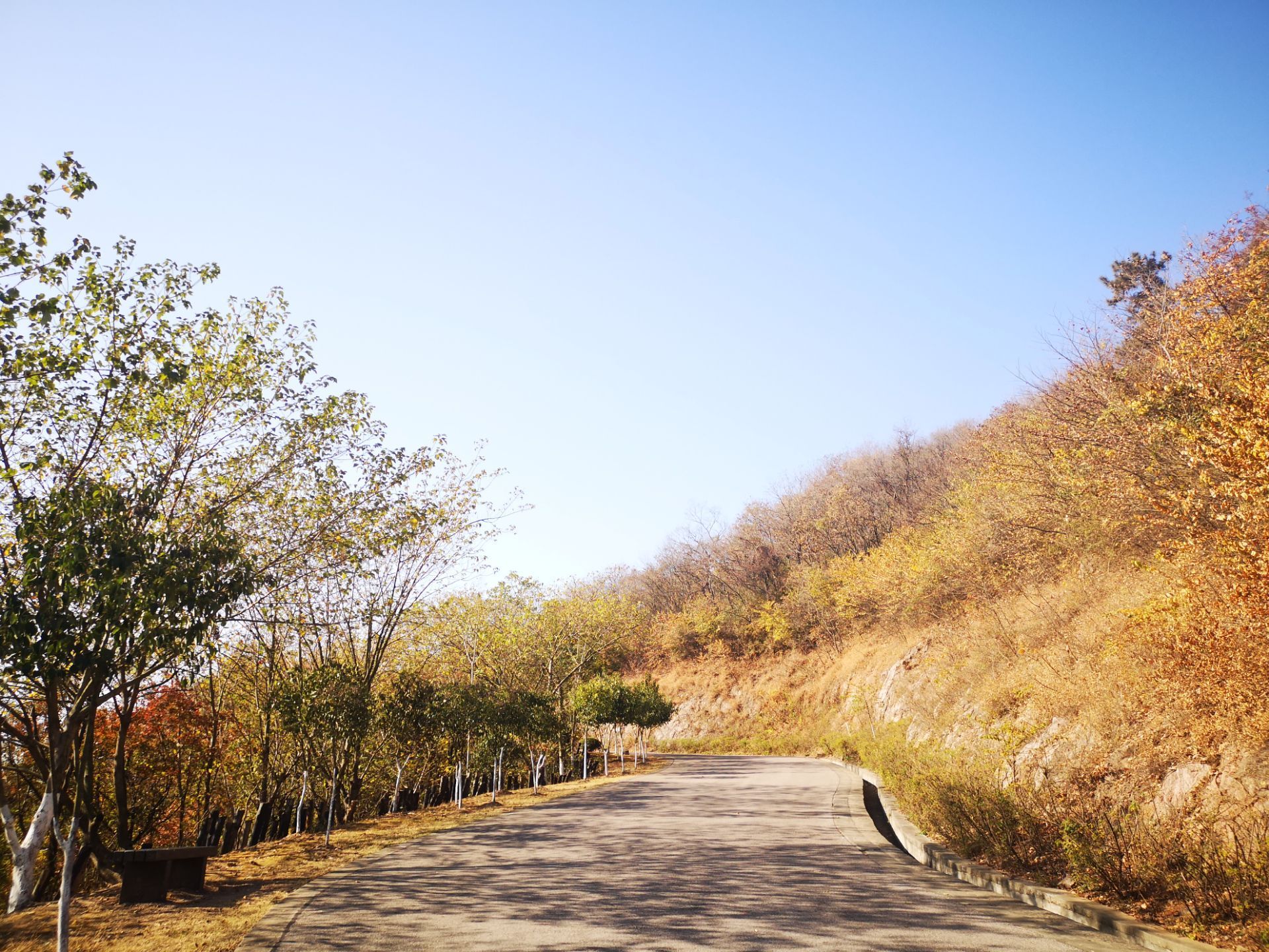 岳阳幕府山图片