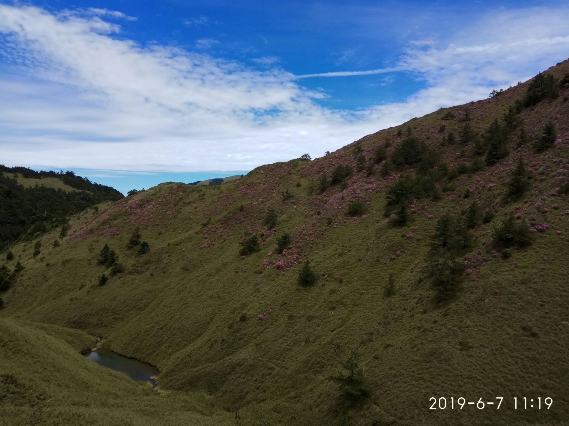 2023合欢山管理站游玩攻略,海达3000米的高山地方,天空.