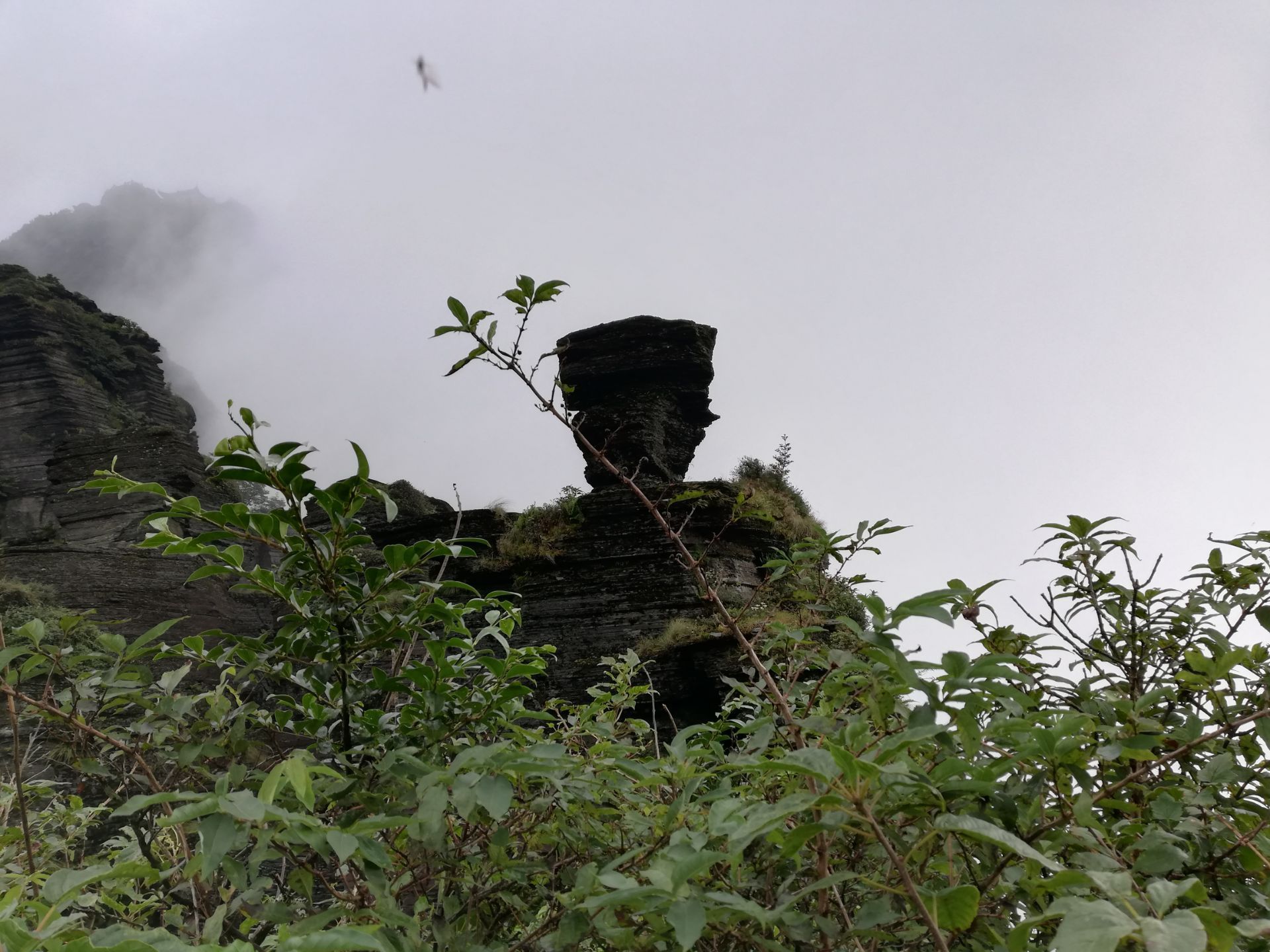 翻天印景点位于蘑菇石附近,在一处山崖的顶端平铺着一面石台,一块巨石