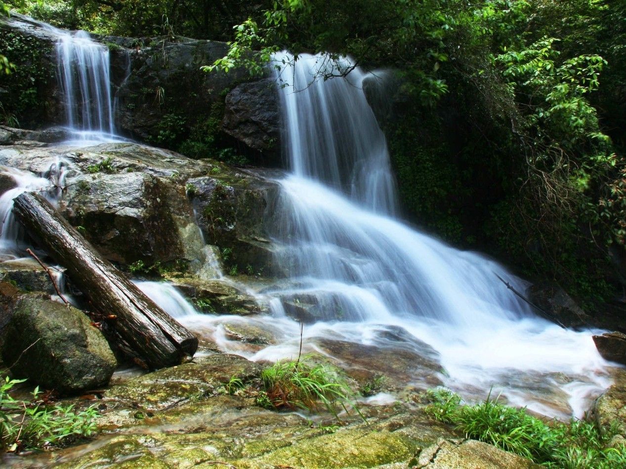 桂林阳光生态园图片