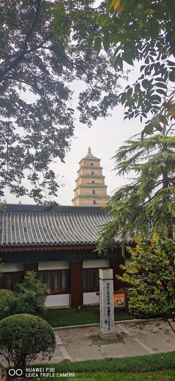 2023西安曲江春晓园游玩攻略,.费的公园,恬静,宽阔,到.【去哪儿攻略】