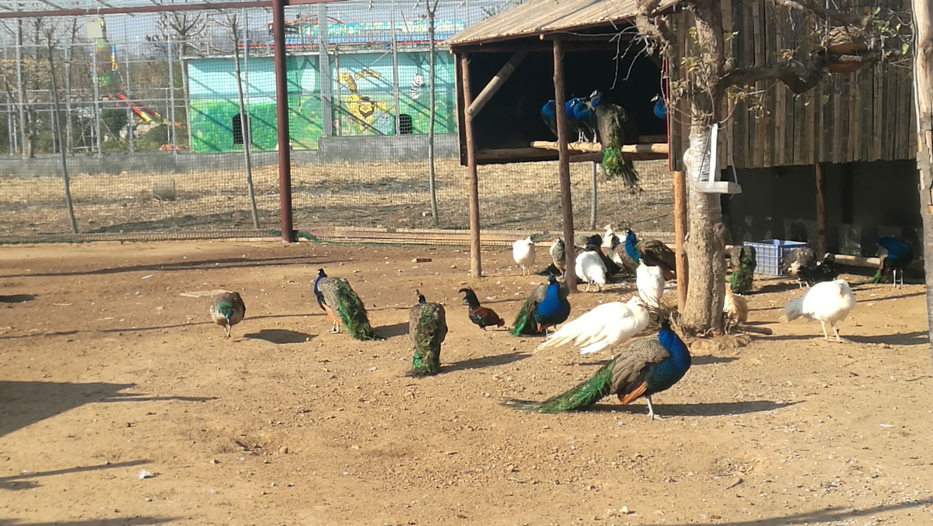 日照文化艺术博览中心