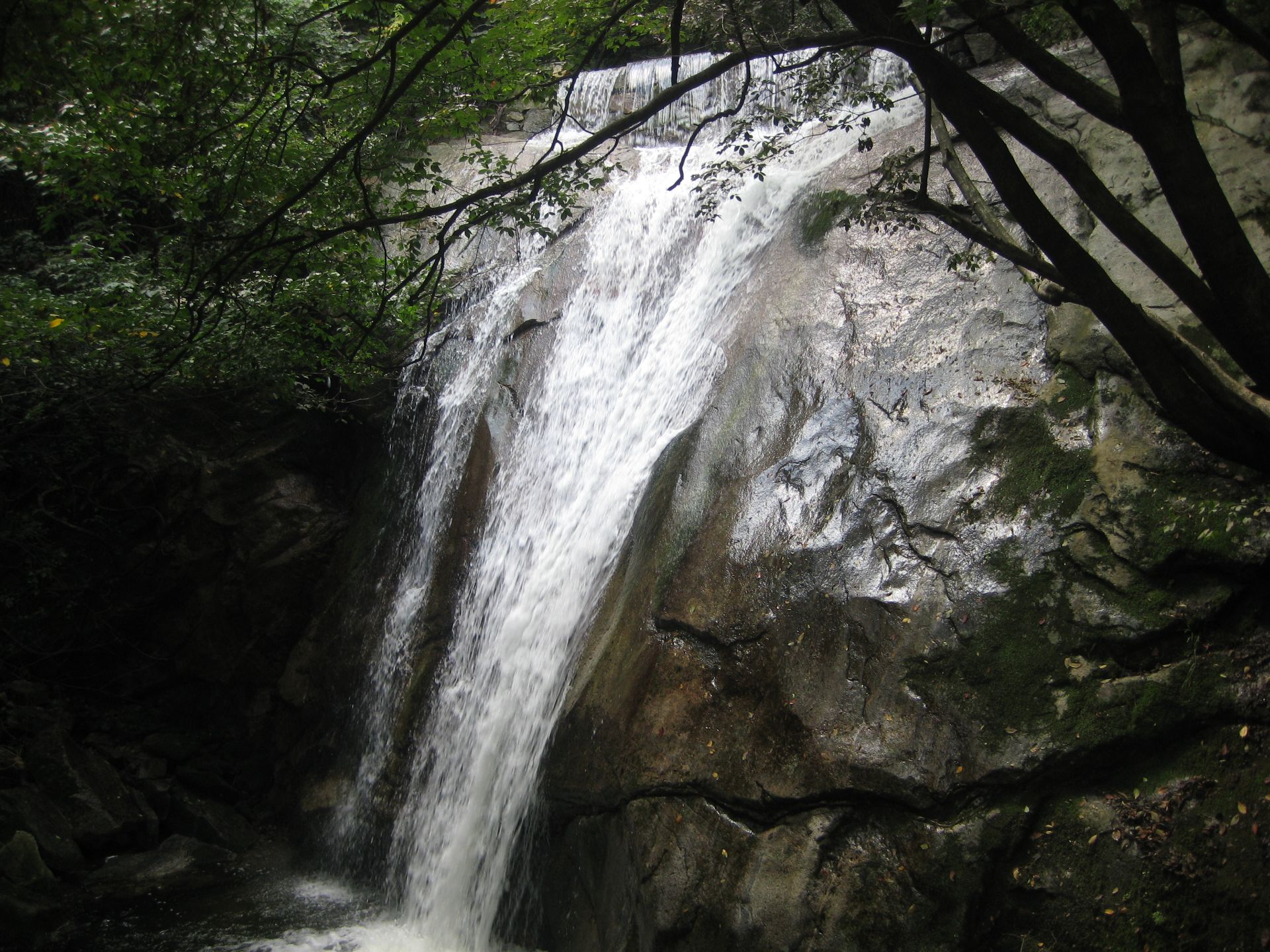 西安九龙潭风景区位于西安市长安区秦岭北麓的喂子坪沿210国道经沣峪