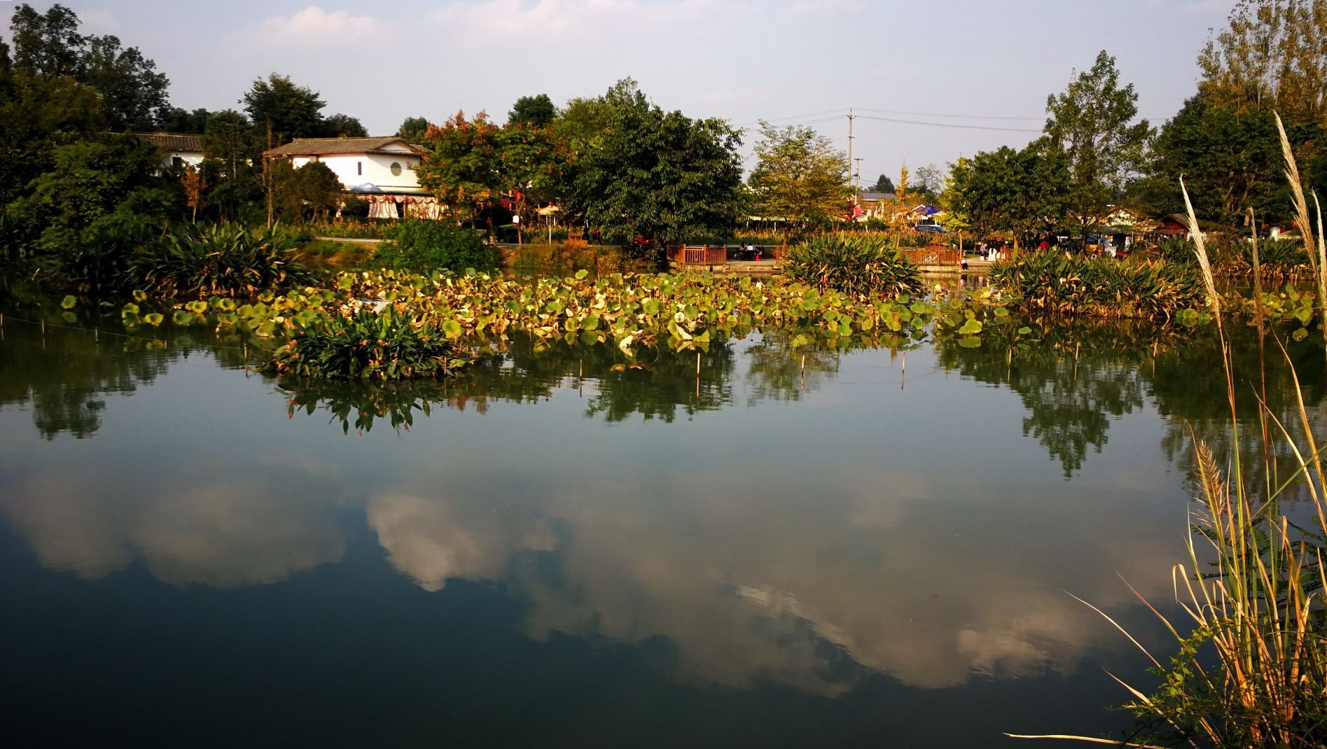 邯郸香草湖图片