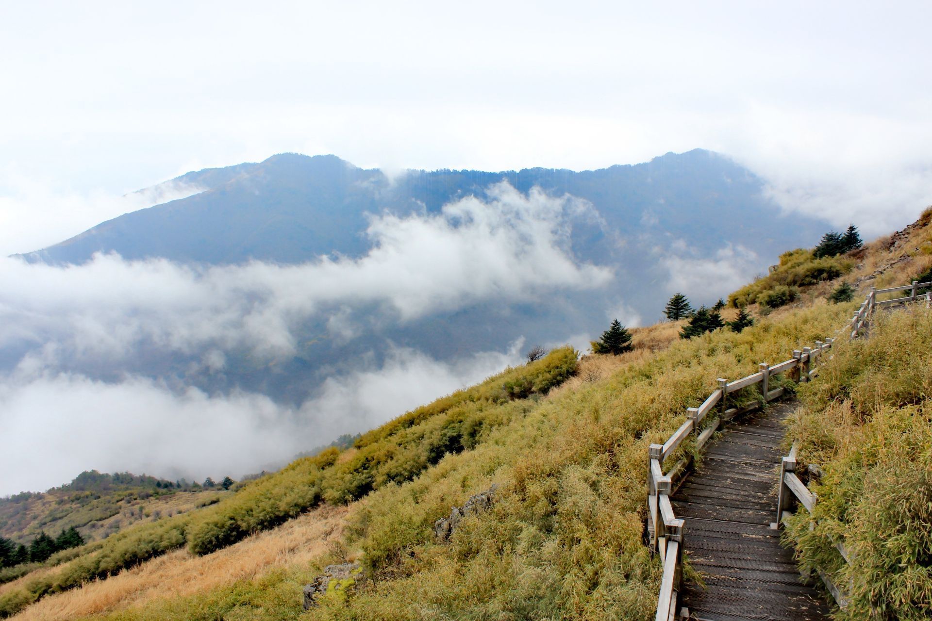 2023神农顶风景区游玩攻略,景色是真的漂亮. 高山,流水.