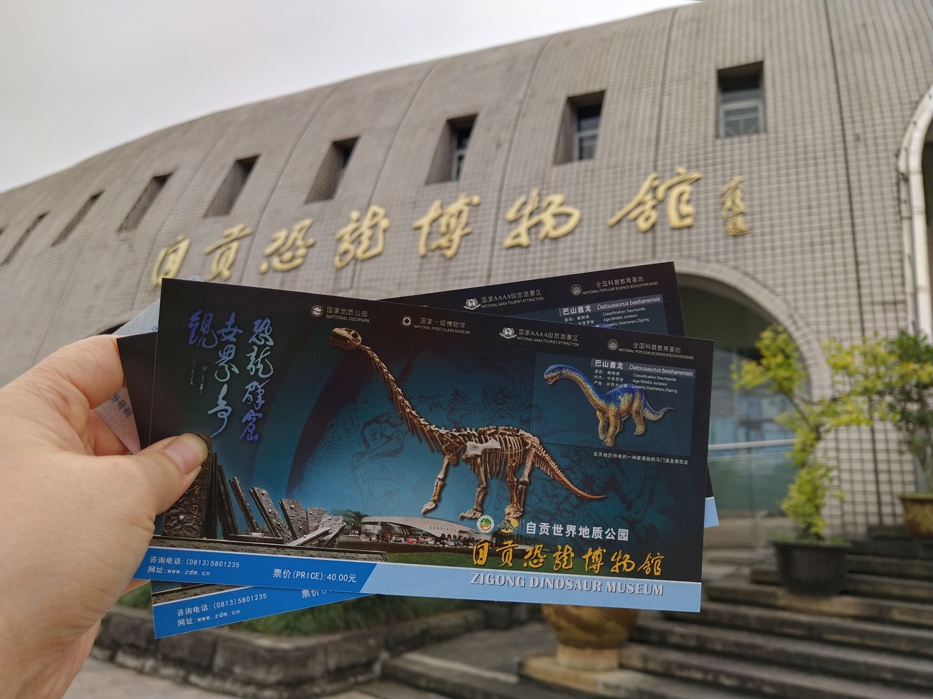 2024自贡恐龙博物馆游玩攻略,.真的很适合娃娃,厕所也很.