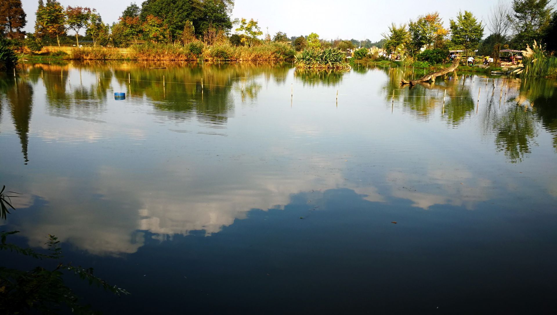 香草湖湿地公园在青杠树景区内,湖区不大,却是移步换景的感觉,有拱桥