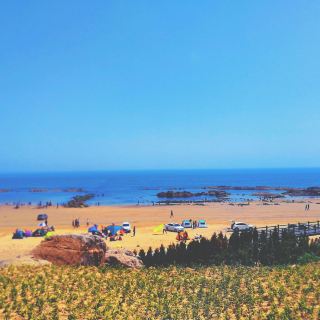 青岛大涧山森林公园攻略-大涧山森林公园门票价格多少钱-团购票价预定