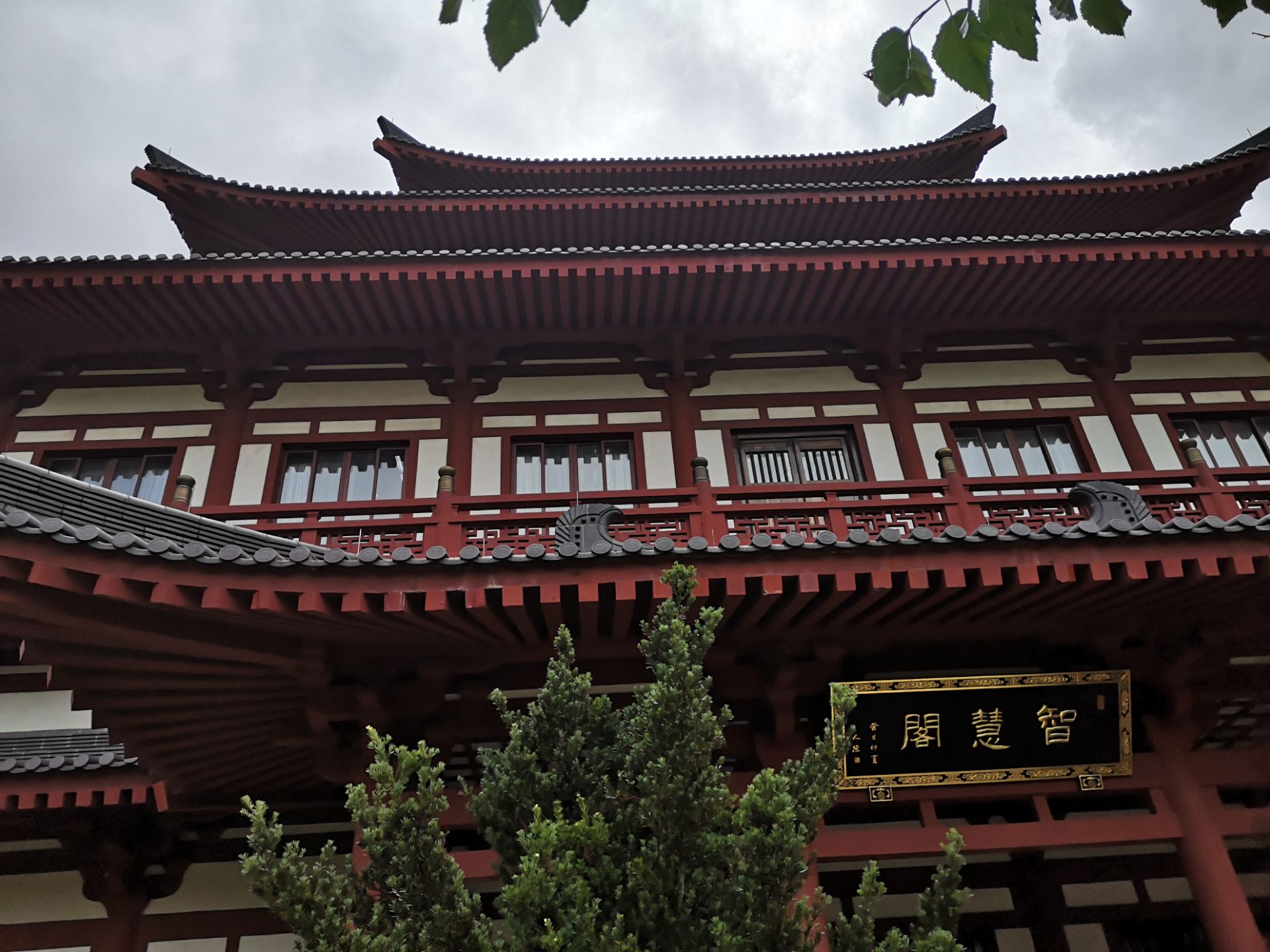 这是位于舟山市朱家尖的中国佛学院普陀山学院的智慧阁所谓智慧阁其实
