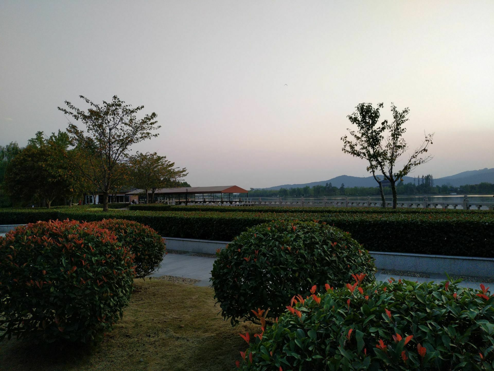 21台湾大学游玩攻略 台大在台湾是非常t知名的大学 去哪儿攻略