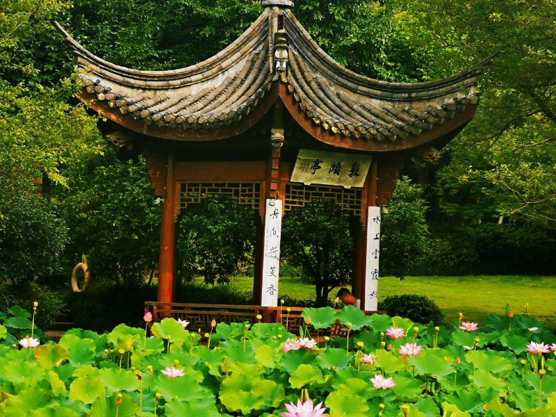 萧山区荷花庄攻略-荷花庄门票价格多少钱-团购票价预定优惠-景点地址