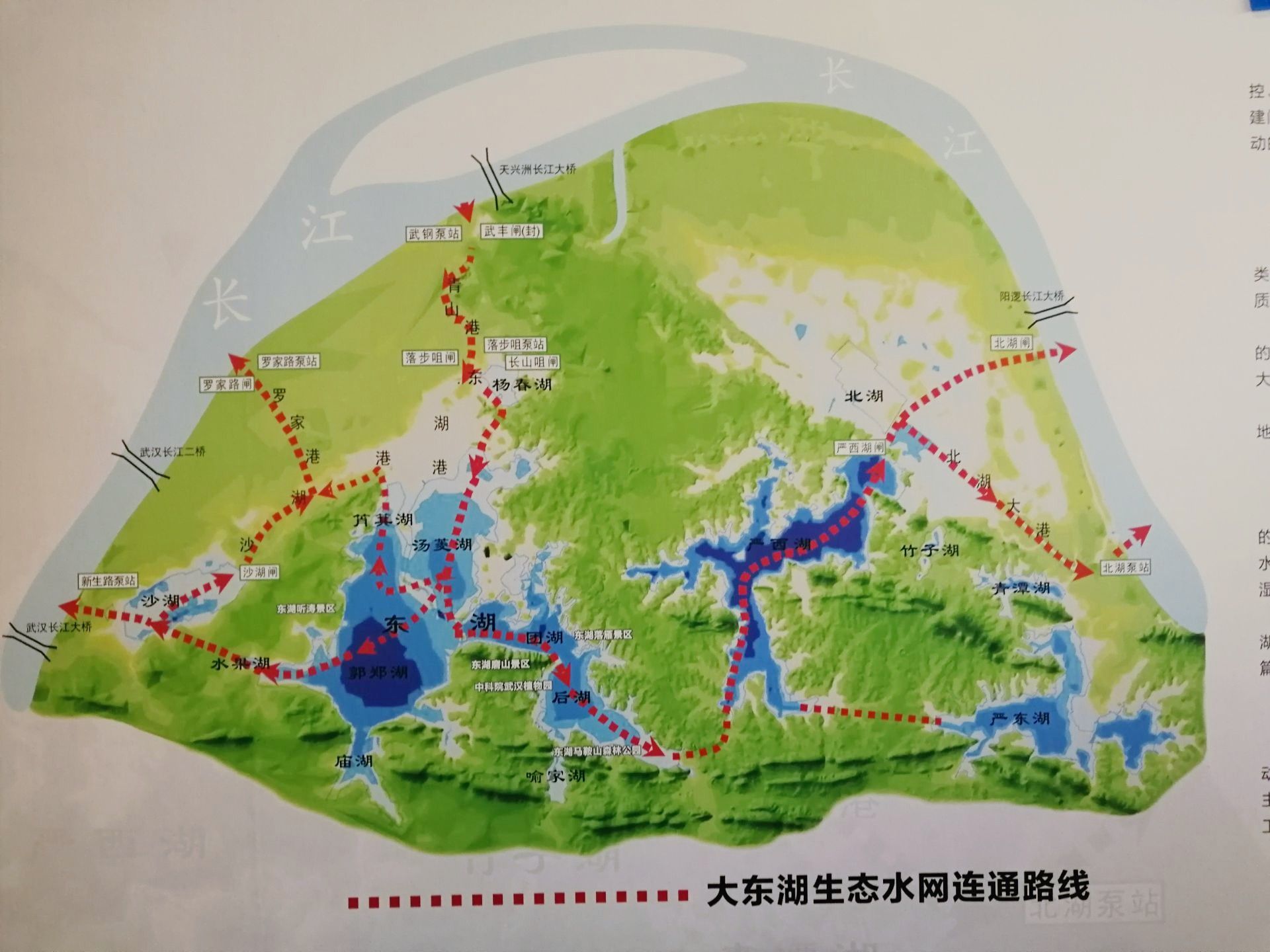 武汉解放公园市区最大的城中公园之一据说之前是私家园林的一部分值得