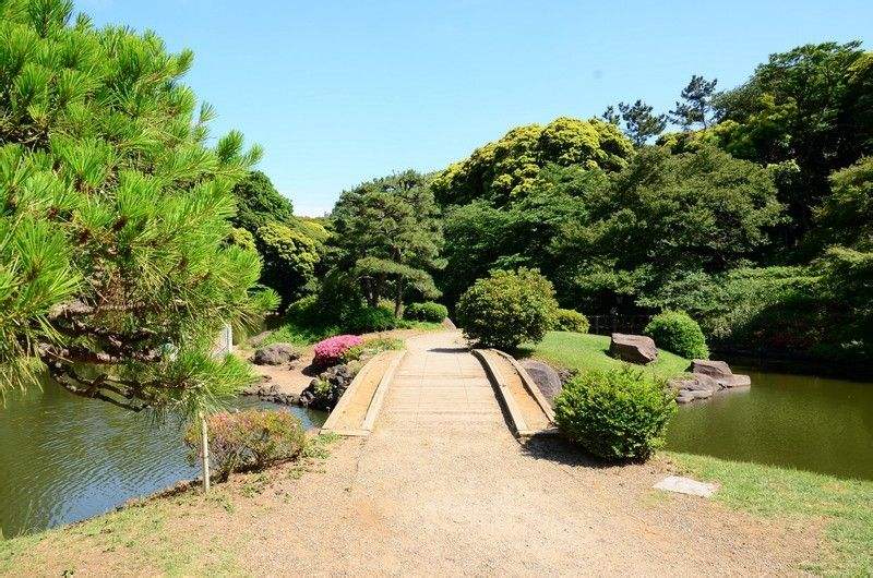 22shinjuku游玩攻略 新宿御苑也是观赏樱花的名所 去哪儿攻略