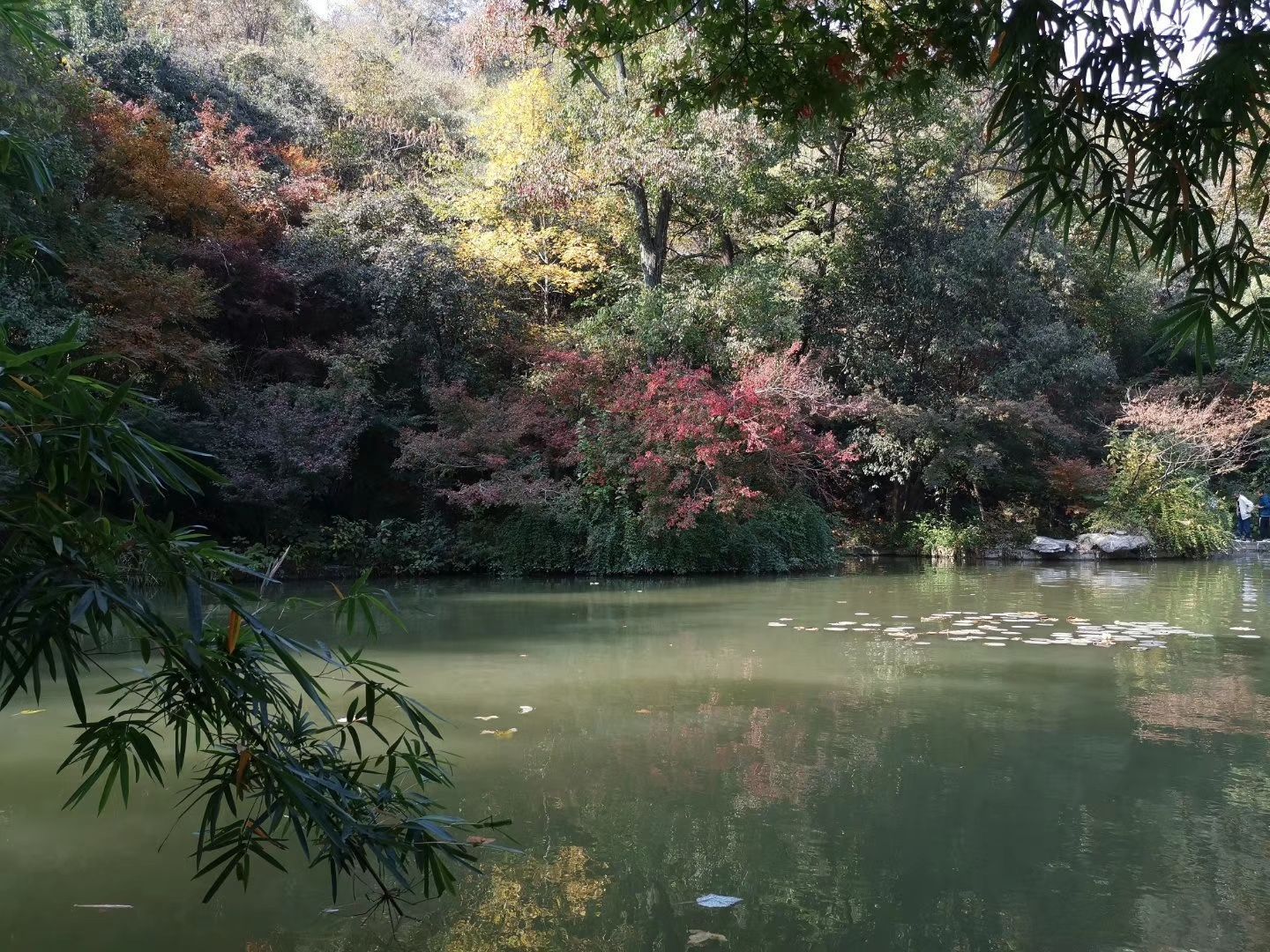 2023桃花湖遊玩攻略,這座湖在棲霞山風景區內,湖.【去哪兒攻略】