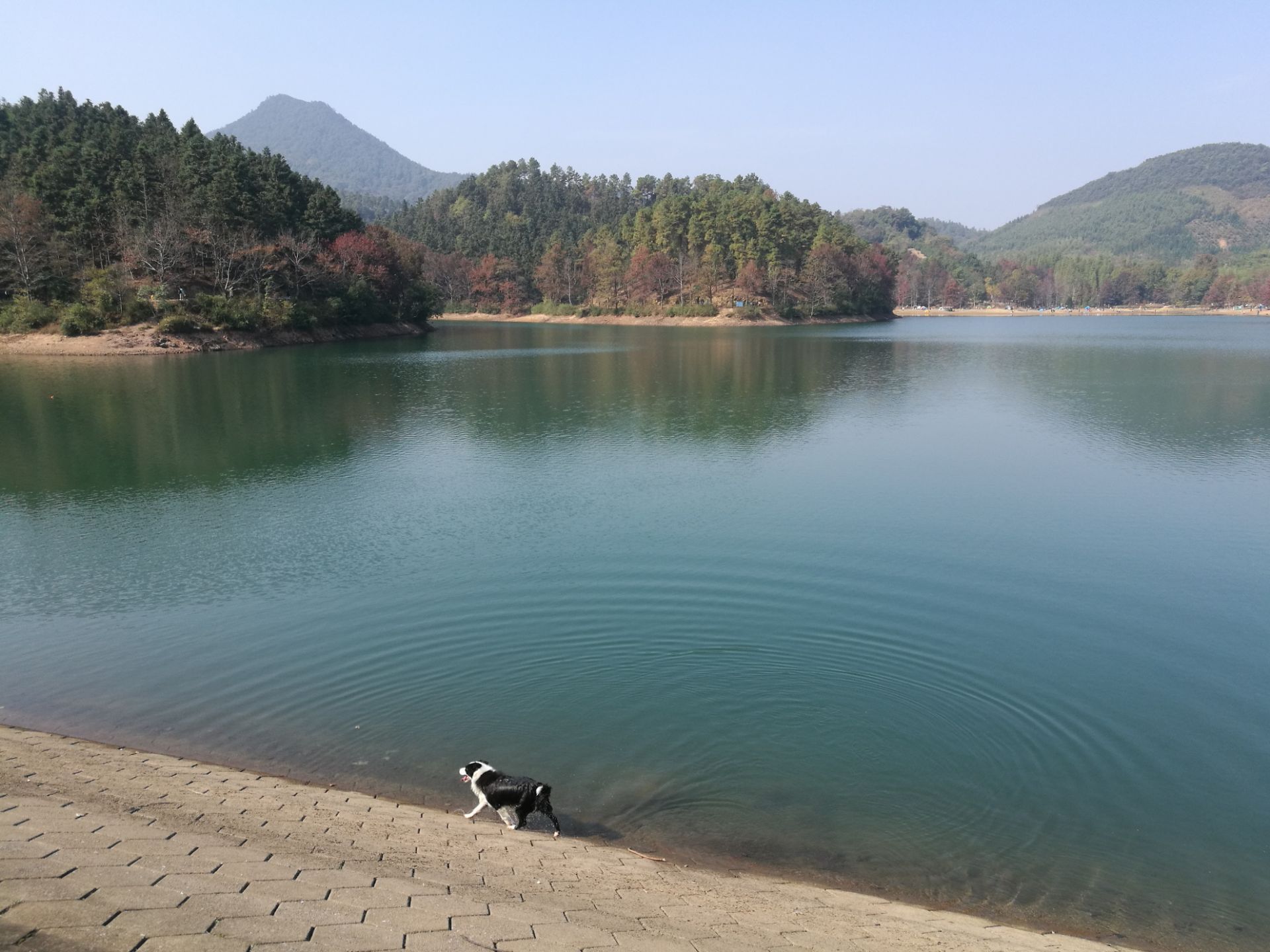 杭州闲林山水图片