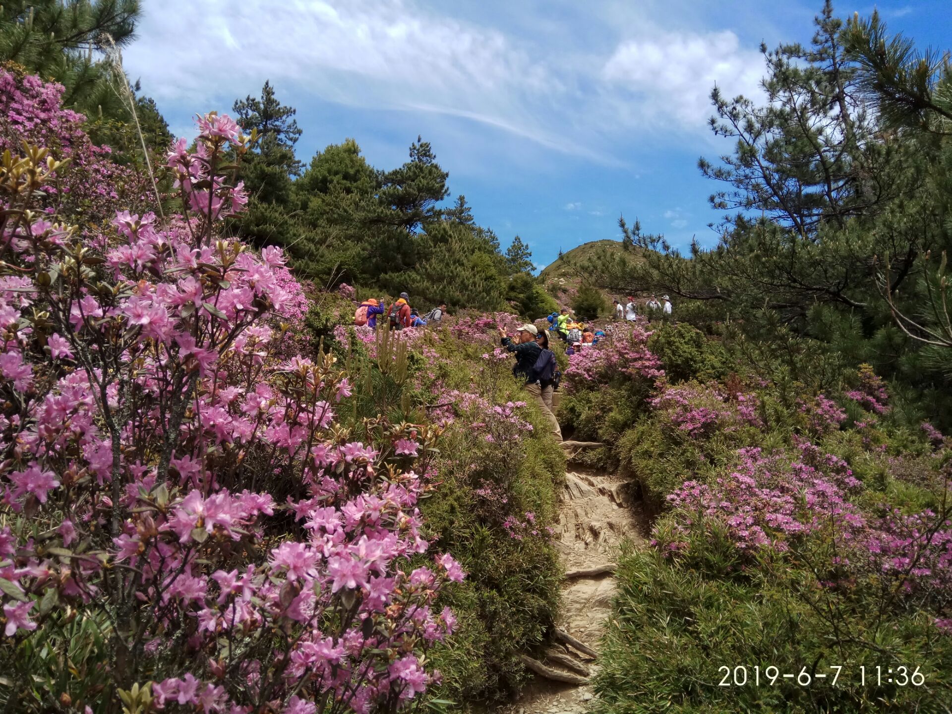 2023合欢山管理站游玩攻略,海达3000米的高山地方,天空.