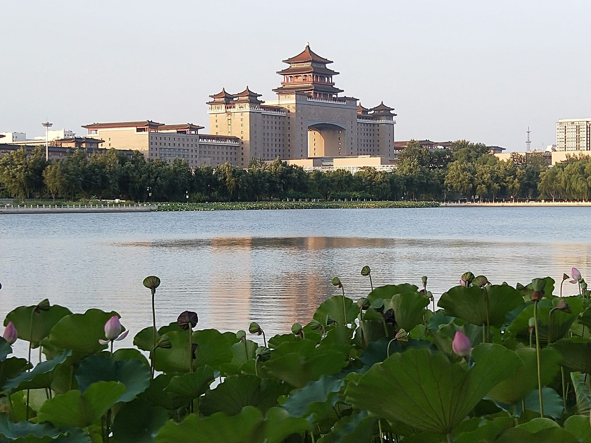 2019莲花池公园-旅游攻略-门票-地址-问答-游记点评，北京旅游旅游景点推荐-去哪儿攻略