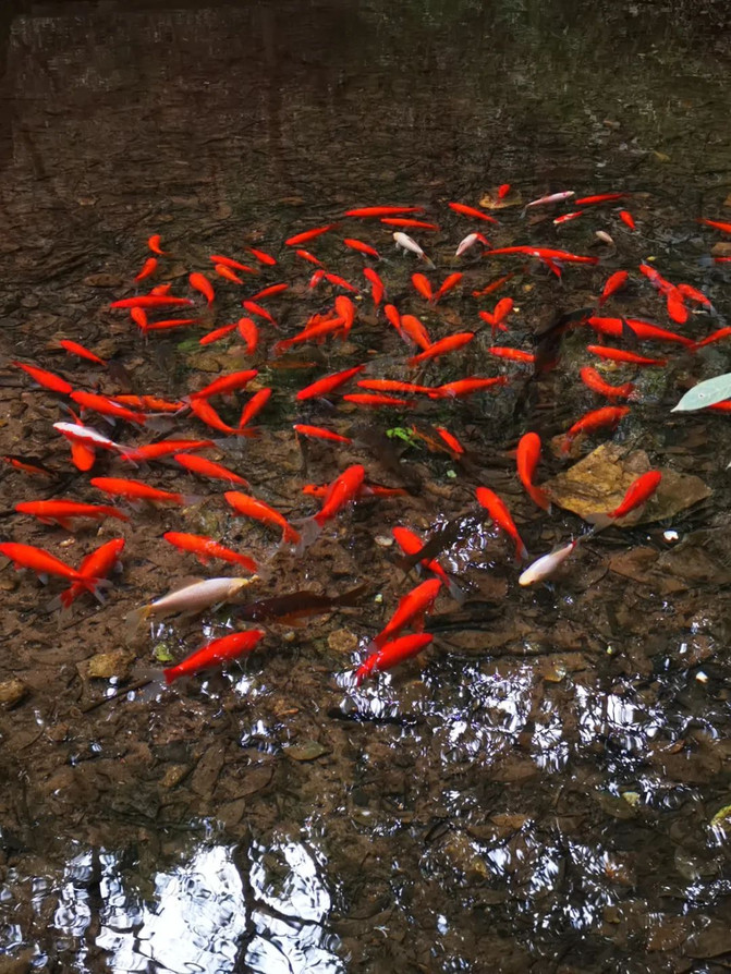 昆明旅游网